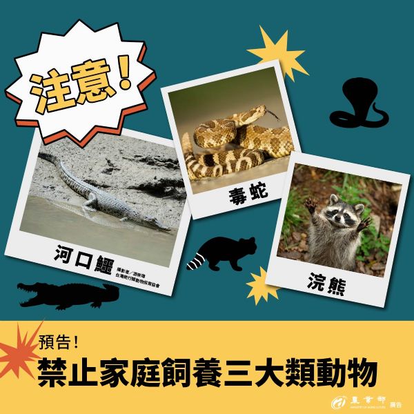 強化公共安全！農業部預告修正草案，將禁止飼養641種具毒性與高攻擊性動物